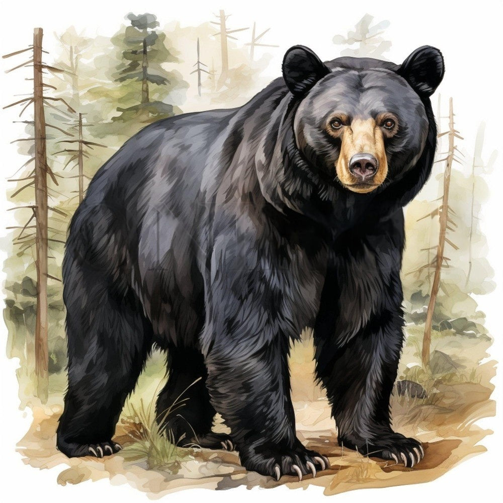 Black Bear | Diamond Painting