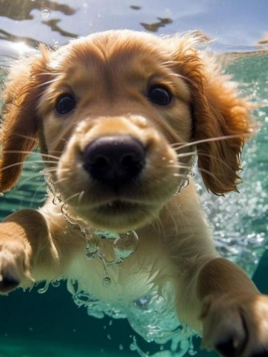 Underwater Dog | Diamond Painting