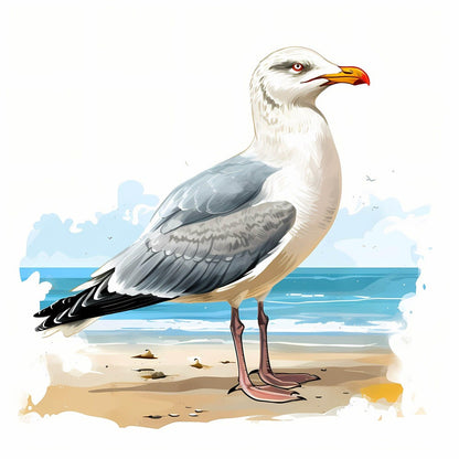 Gull | Diamond Painting