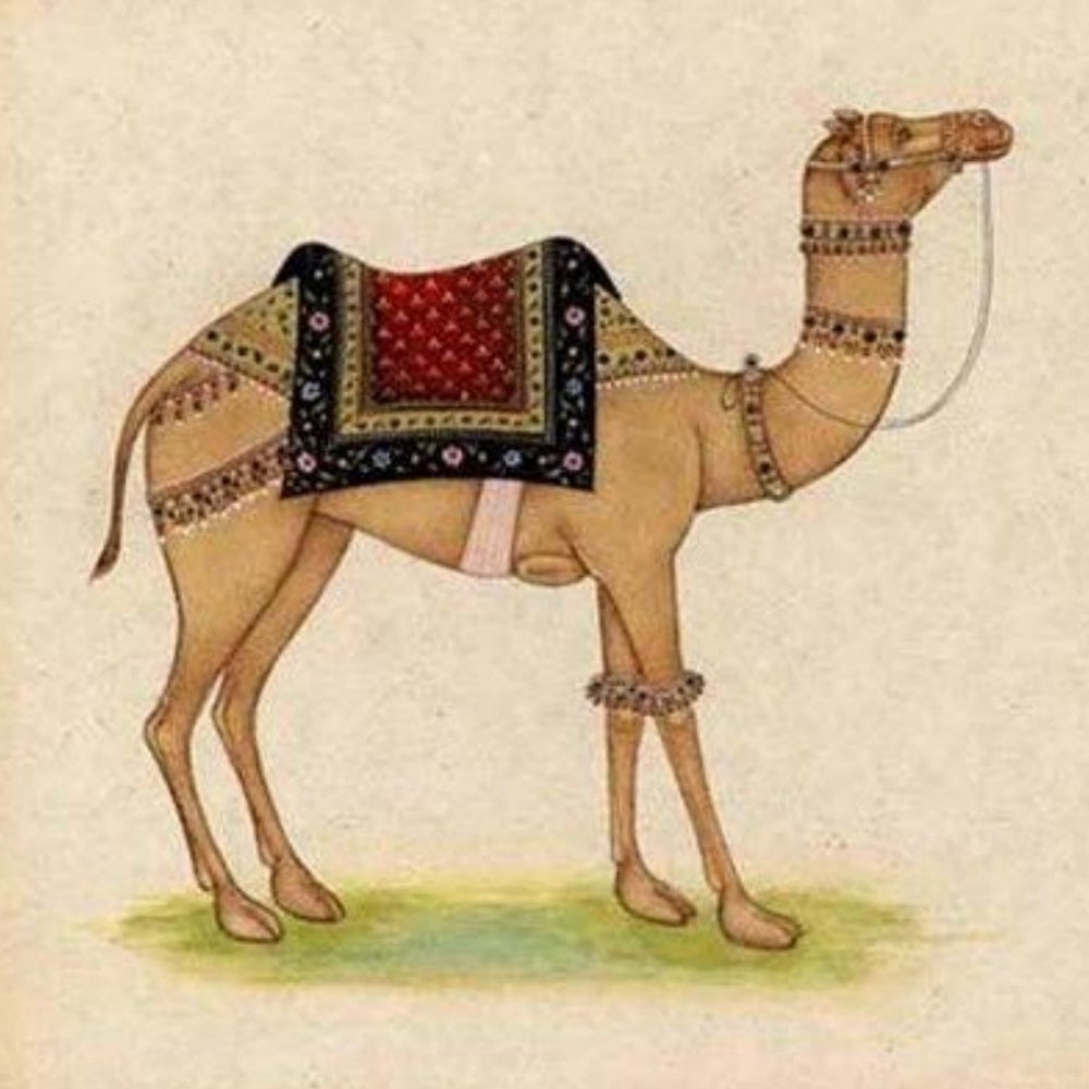 Camel | Diamond Painting