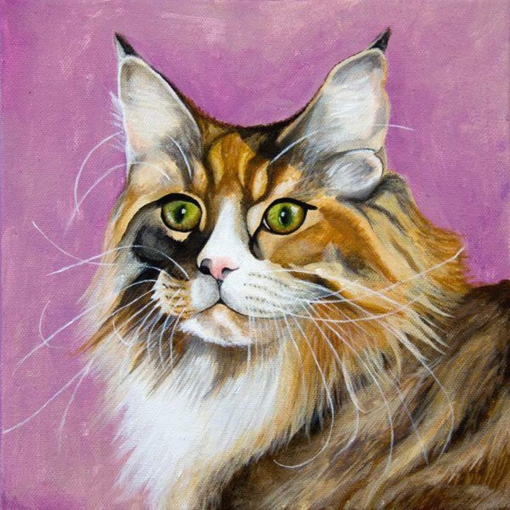 Maine Coon | Diamond Painting