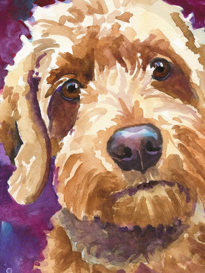 Goldendoodle Dog | Diamond Painting