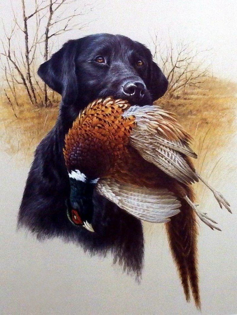 Black Labrador Dog | Diamond Painting