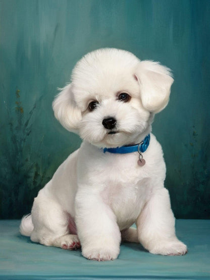 Dog Bichon Frise | Diamond Painting