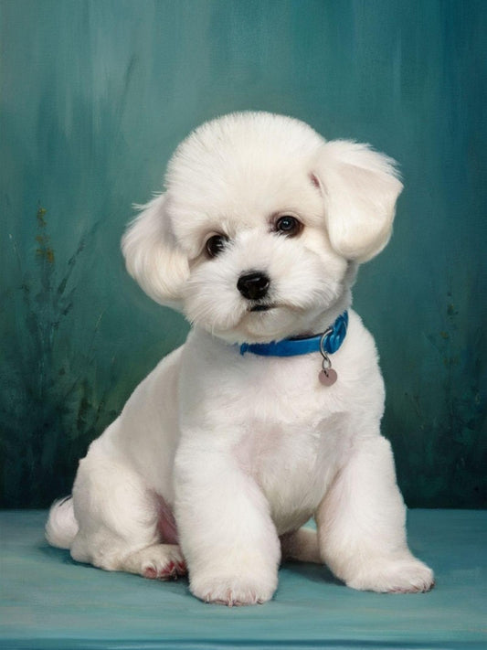 Dog Bichon Frise | Diamond Painting