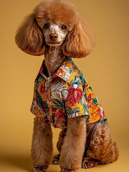 Poodle Dog | Diamond Painting