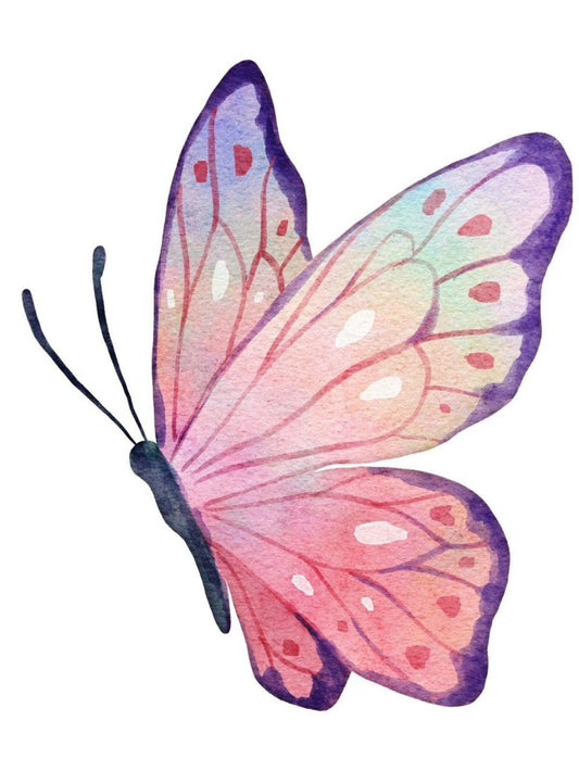 Butterfly | Diamond Painting