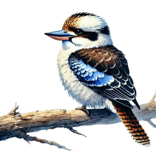 Kookaburra | Diamond Painting