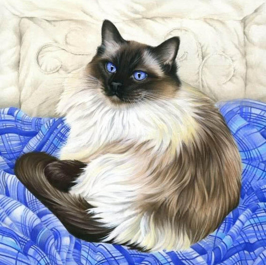 Ragdoll Cat | Diamond Painting