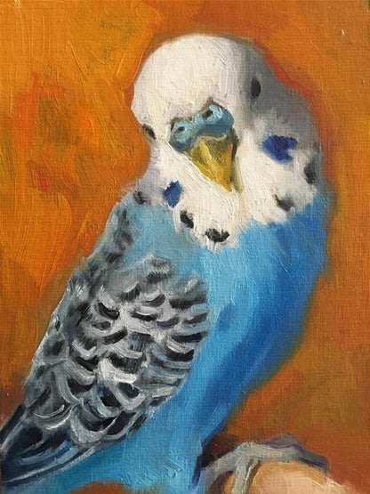 Budgie | Diamond Painting