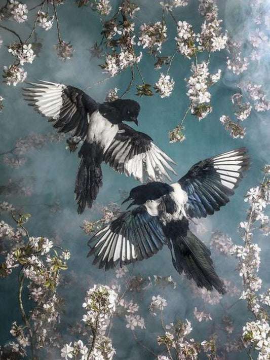 Magpie | Diamond Painting