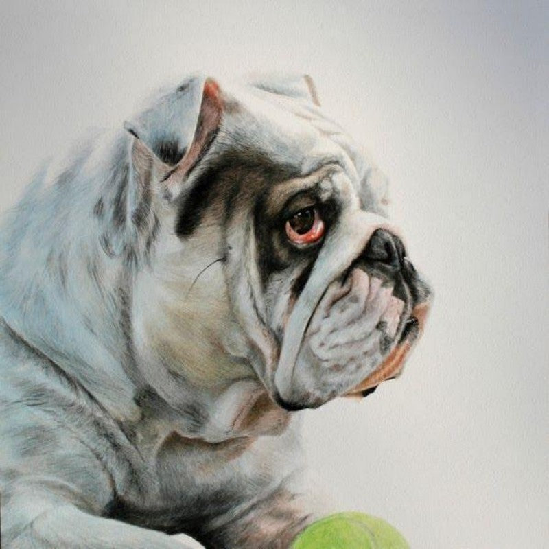 Dog English Bulldog | Diamond Painting