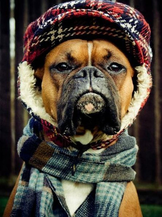 Boxer Dog | Diamond Painting