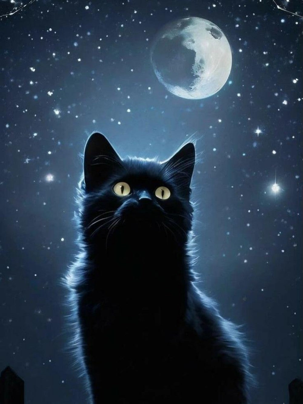 Midnight Cat | Diamond Painting