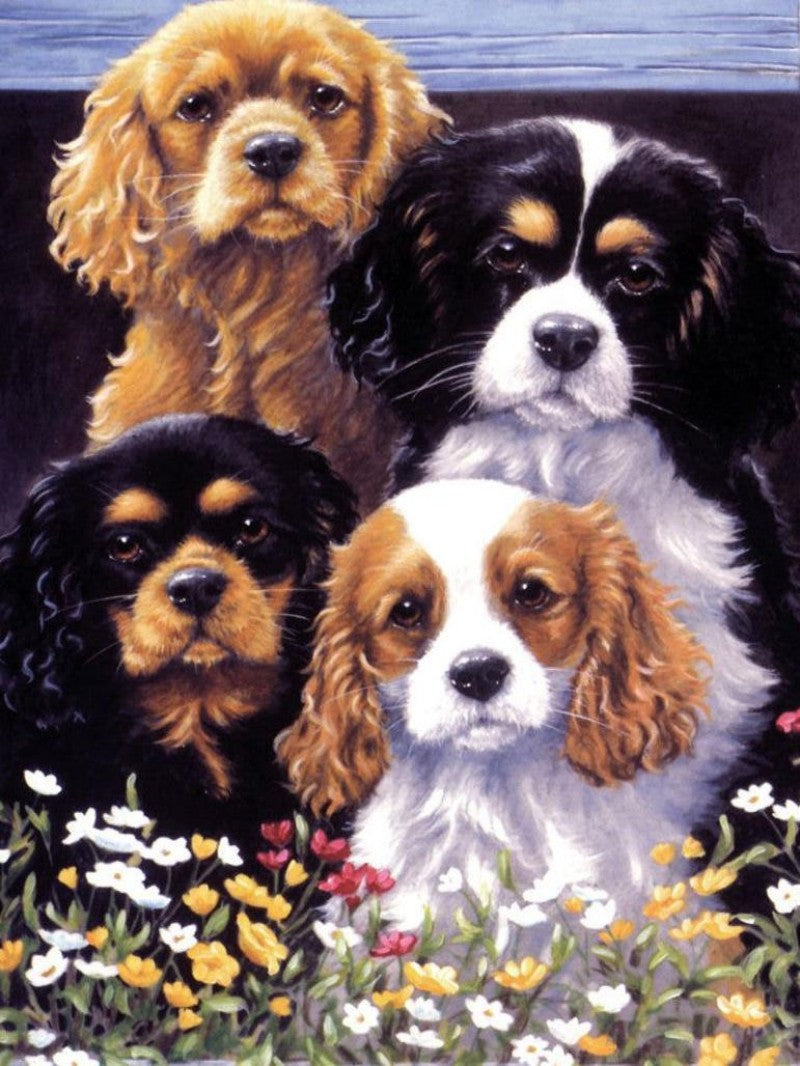 Cocker Spaniel Dog | Diamond Painting