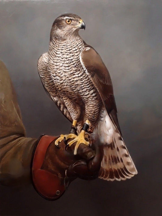 Falcon | Diamond Painting