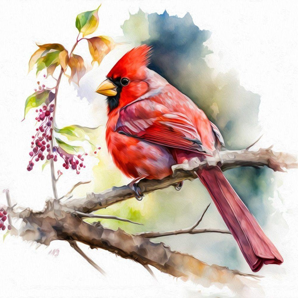 Cardinal | Diamond Painting