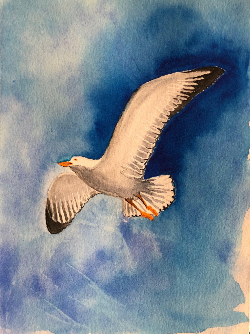 Gull | Diamond Painting