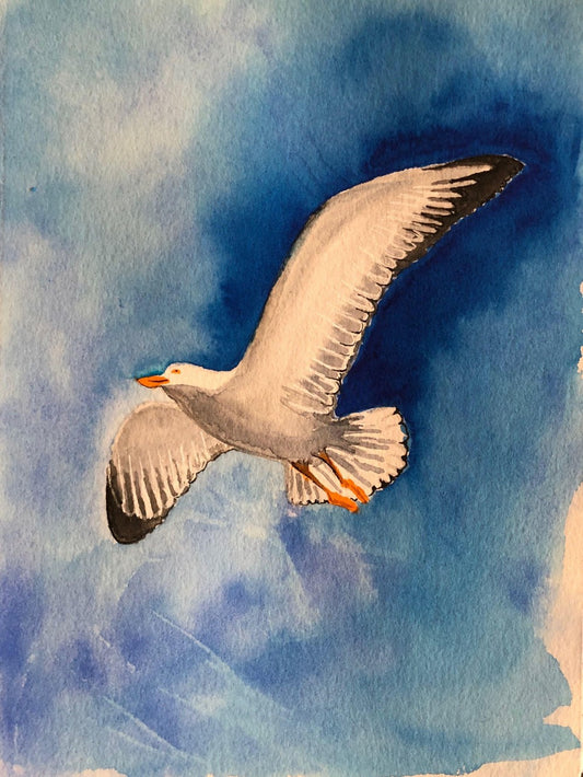 Gull | Diamond Painting
