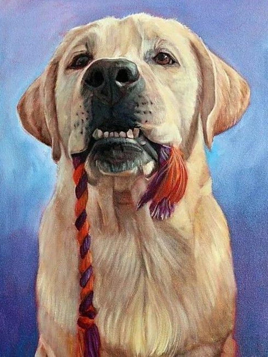 Yellow Labrador Dog | Diamond Painting