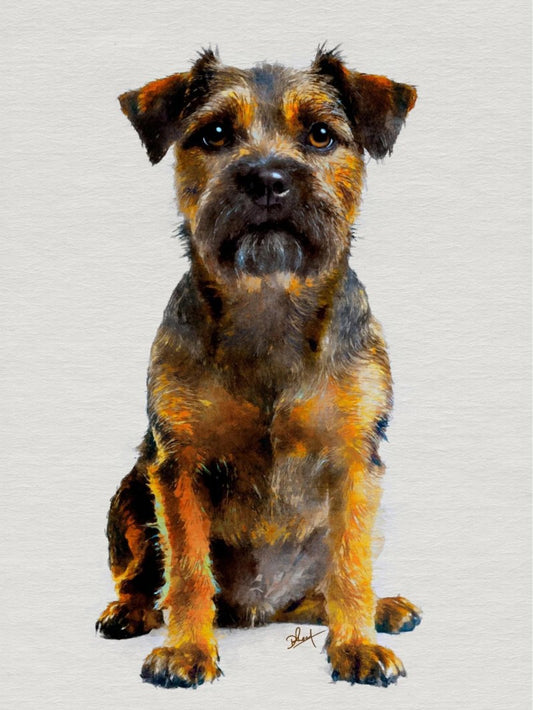 Dog Border Terrier | Diamond Painting