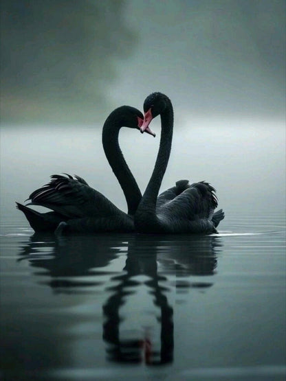 Swan | Diamond Painting