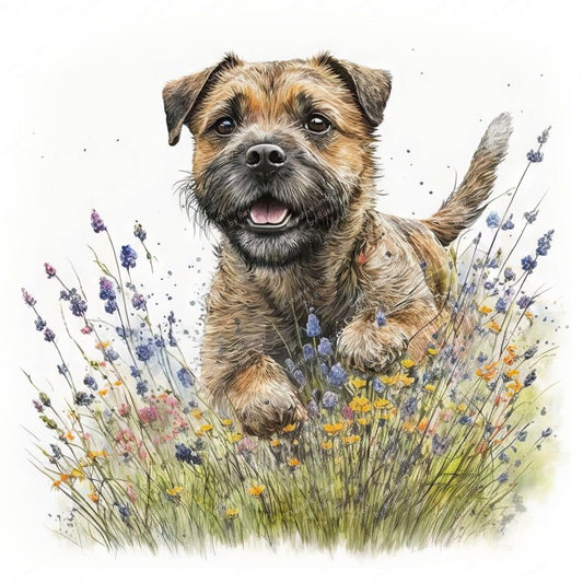 Dog Border Terrier | Diamond Painting