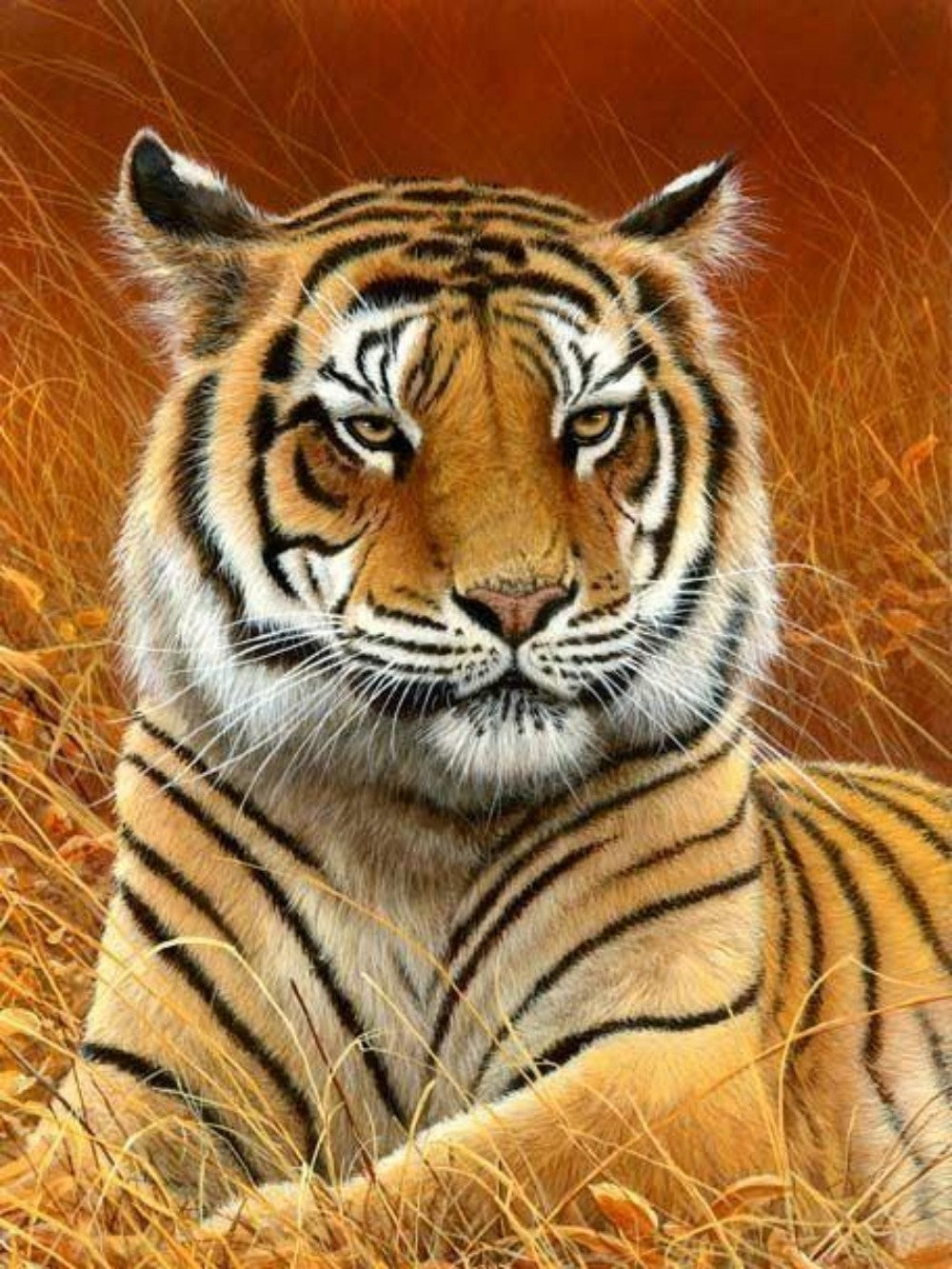 Bengal Tiger | Diamond Painting