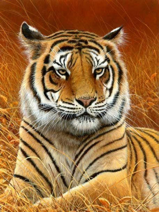 Bengal Tiger | Diamond Painting