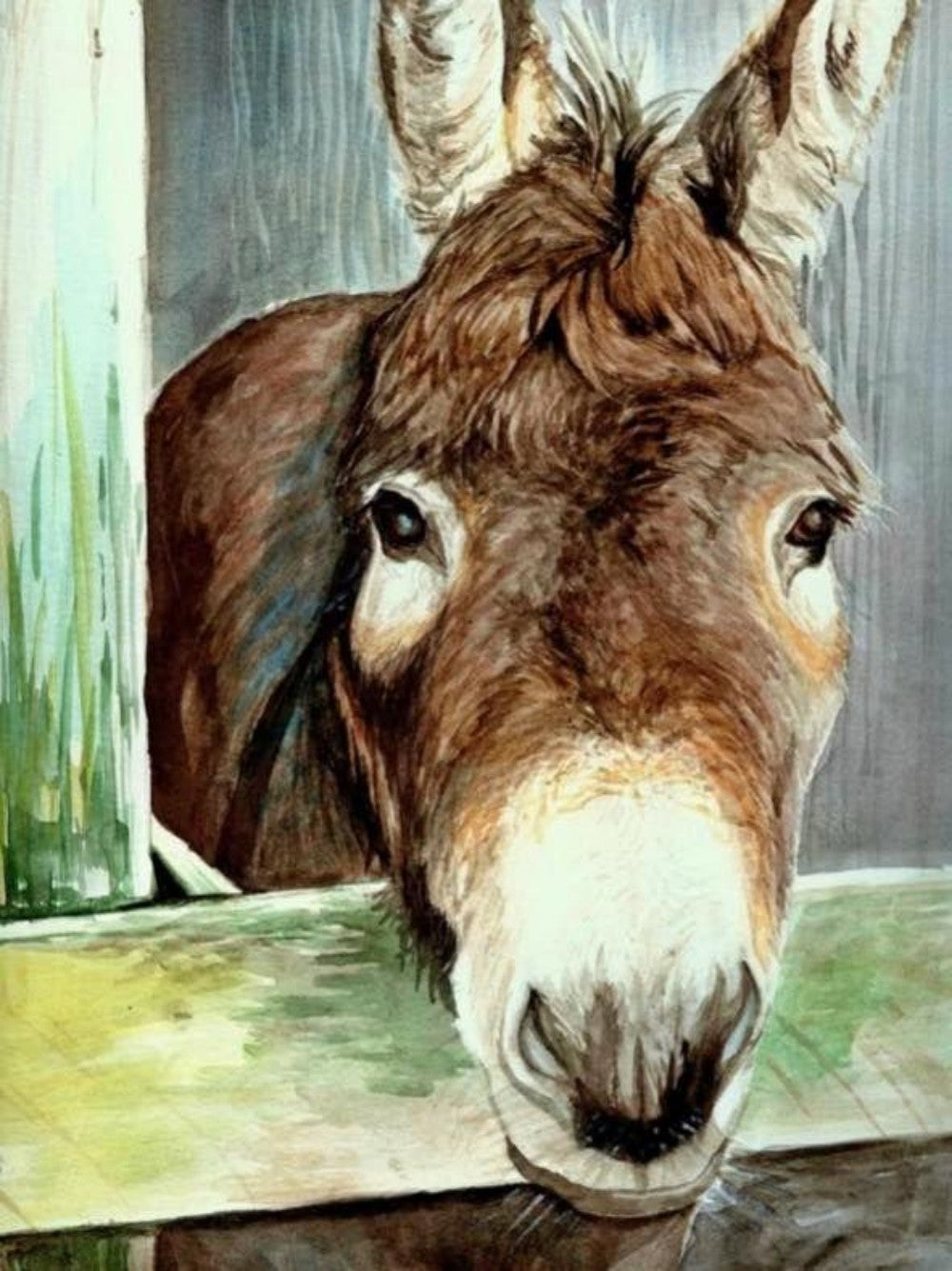 Donkey | Diamond Painting