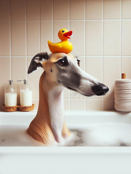Whippet Dog | Diamond Painting