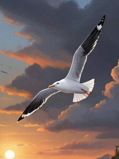 Gull | Diamond Painting