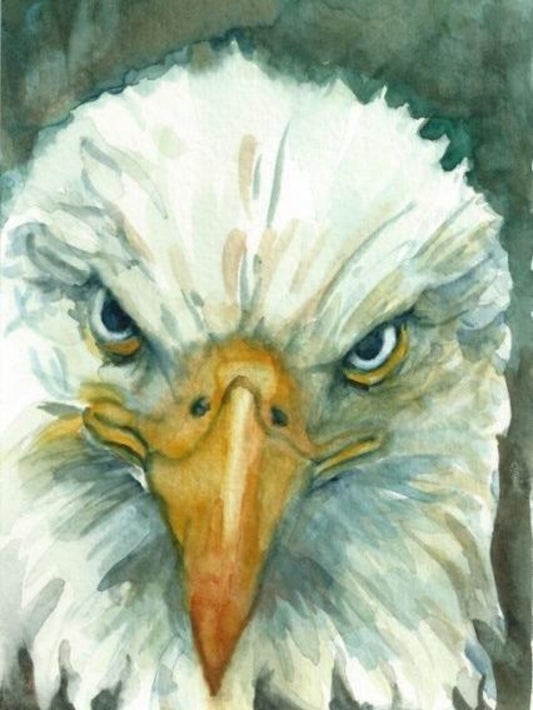 Eagle | Diamond Painting