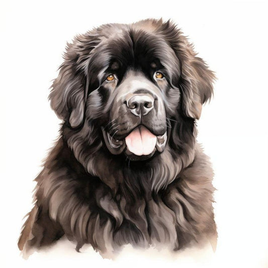 Newfoundland Dog | Diamond Painting