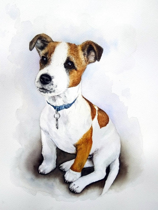 Dog Jack Russell | Diamond Painting