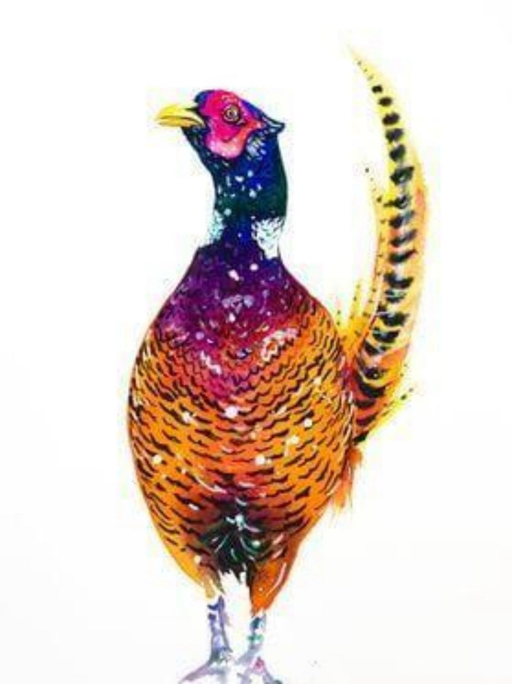 Pheasant | Diamond Painting