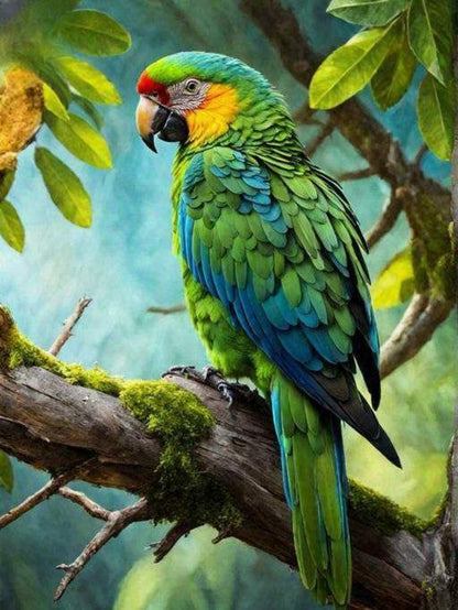 Macaw | Diamond Painting