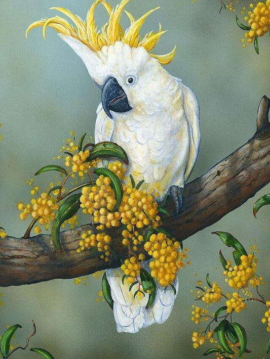 Cockatoo | Diamond Painting