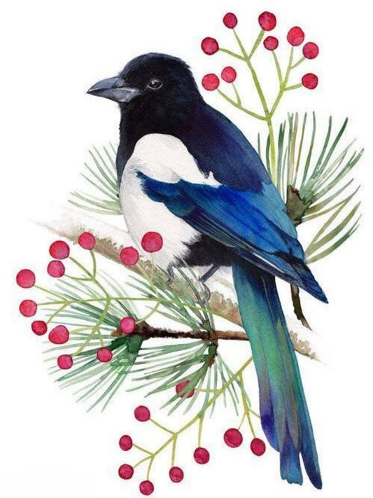 Magpie | Diamond Painting