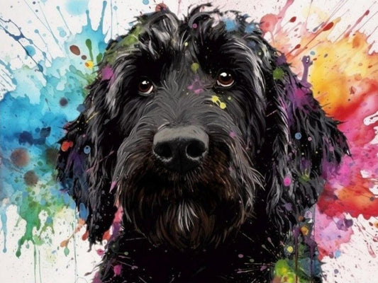 Labradoodle Dog | Diamond Painting