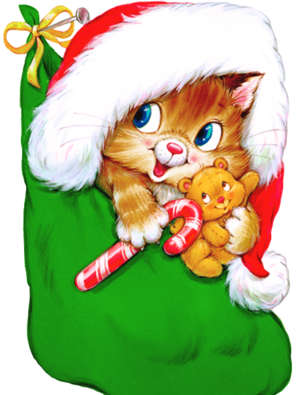 Christmas cat | Diamond Painting