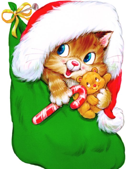 Christmas cat | Diamond Painting