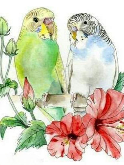 Budgie | Diamond Painting