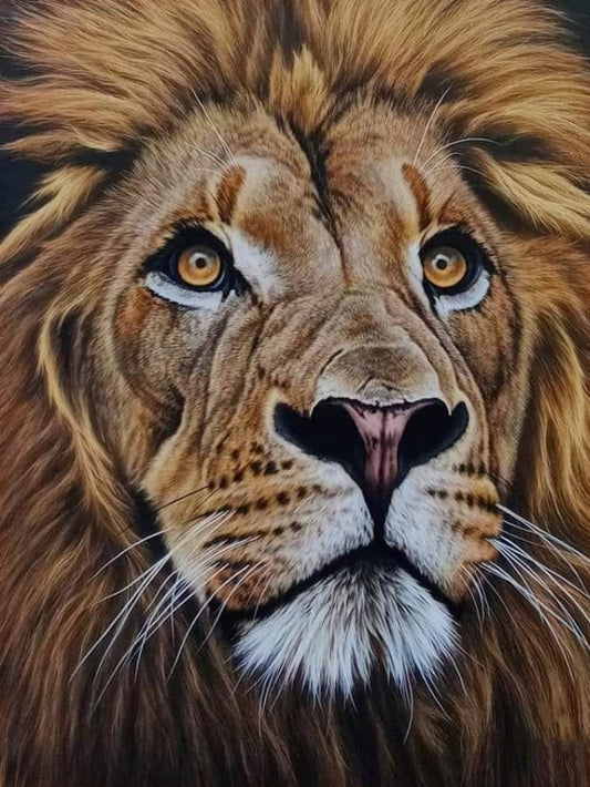 Lion | Diamond Painting