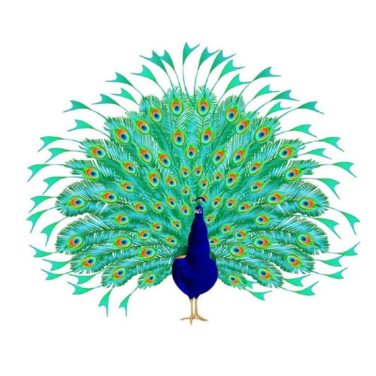 Peacock | Diamond Painting