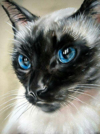 Siamese Cat | Diamond Painting