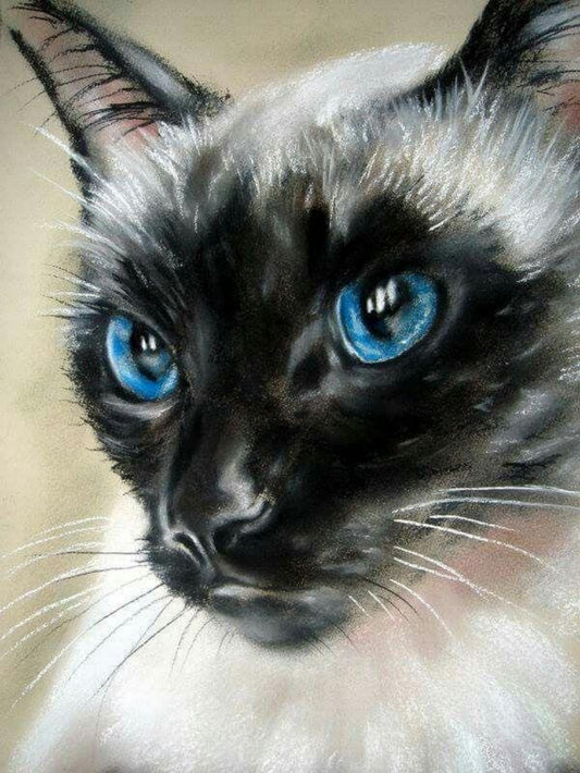 Siamese Cat | Diamond Painting