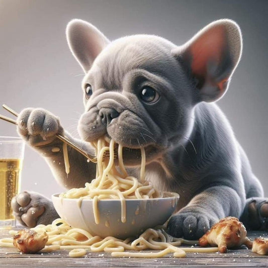 French Bulldog Dog | Diamond Painting