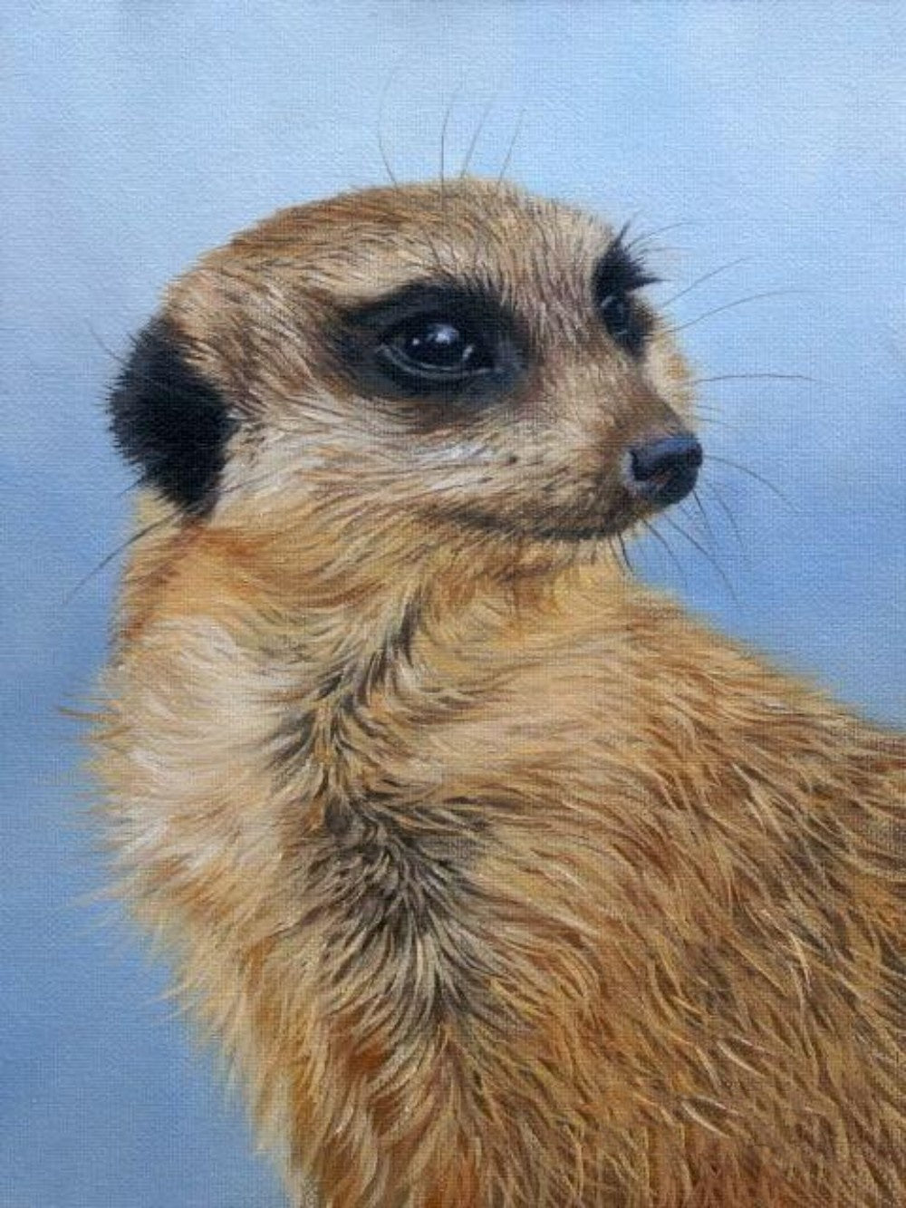 Meerkat | Diamond Painting