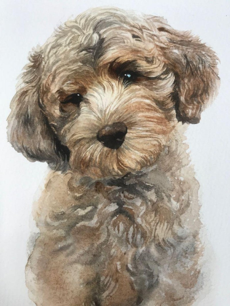 Labradoodle Dog | Diamond Painting